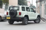 Tank 300 Time Traveler Compact SUV– Buy Direct From China | CarBuyChina