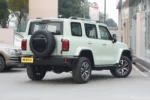 Tank 300 Time Traveler Compact SUV– Buy Direct From China | CarBuyChina - Image 2