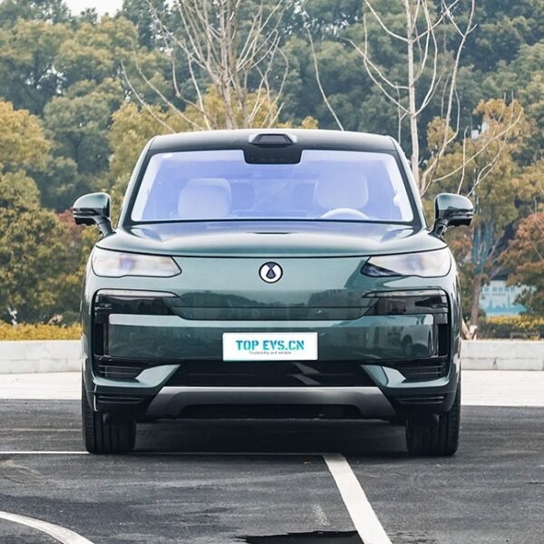 Denza N9 DM 2026– China Export Vehicle | CarBuyChina